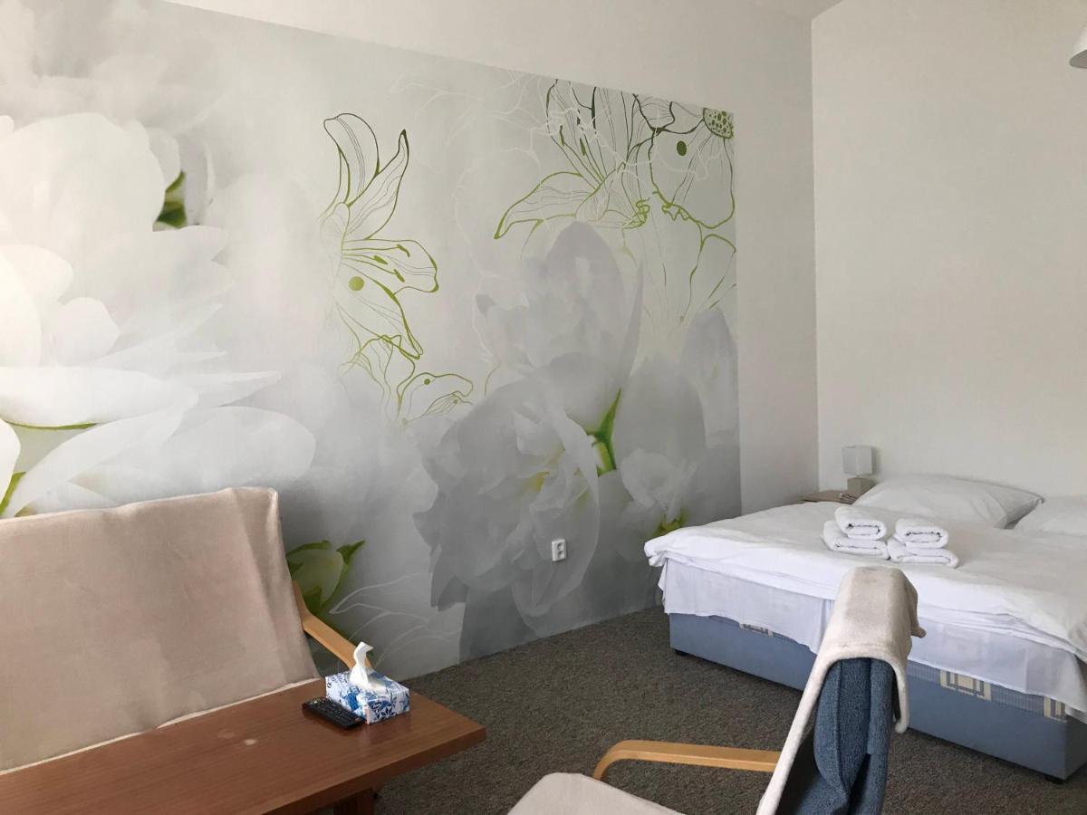 Apartmán Apartman Na Namesti Opočno Exteriér fotografie
